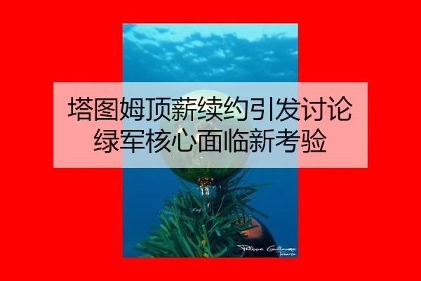 ta-tu-mu-ding-xin-xu-yue-yin-fa-tao-lun-lv-jun-he-xin-mian-lin-xin-kao-yan-2-361.jpg